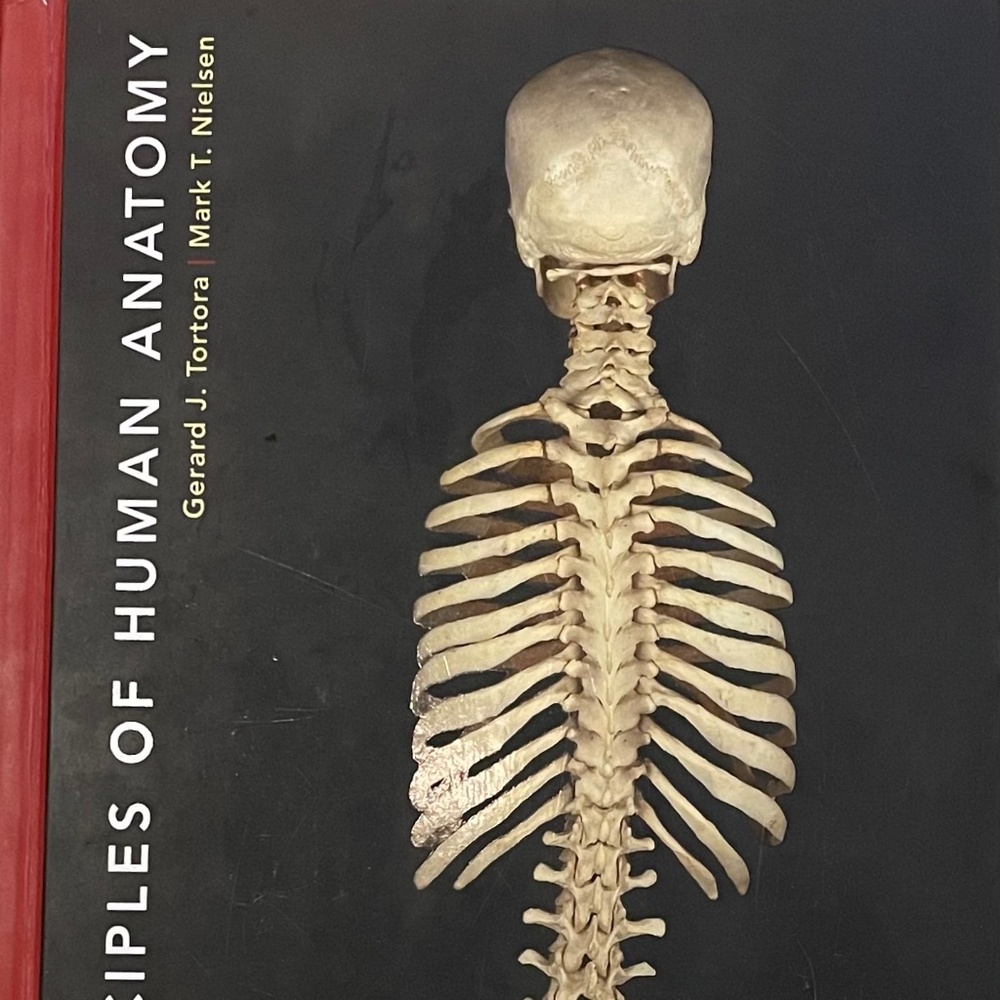 Principles of Human Anatomy
